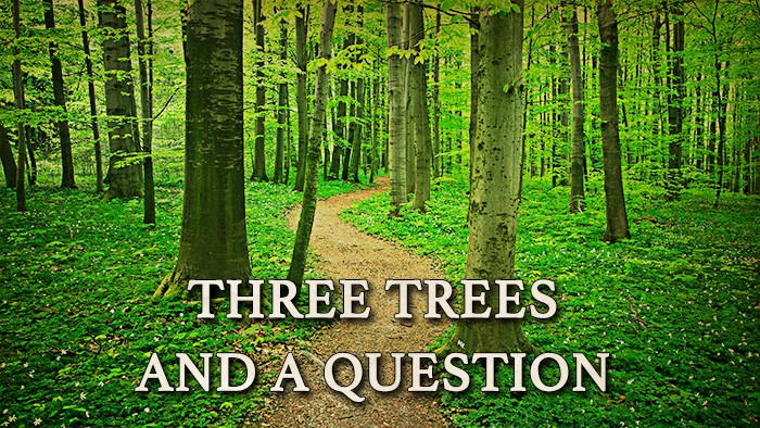 Three Trees and a Question - FBC West