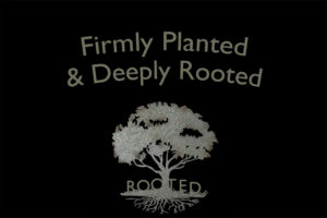 Planted Rooted Website