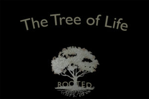 Tree of Life Website