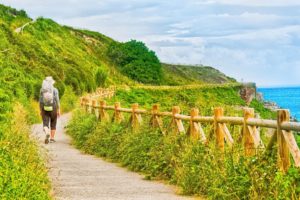 Camino de Santiago