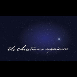 Christmas experience SQ