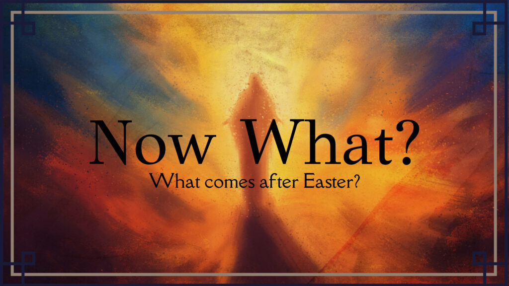 Untitled (1920 x 1080 px)